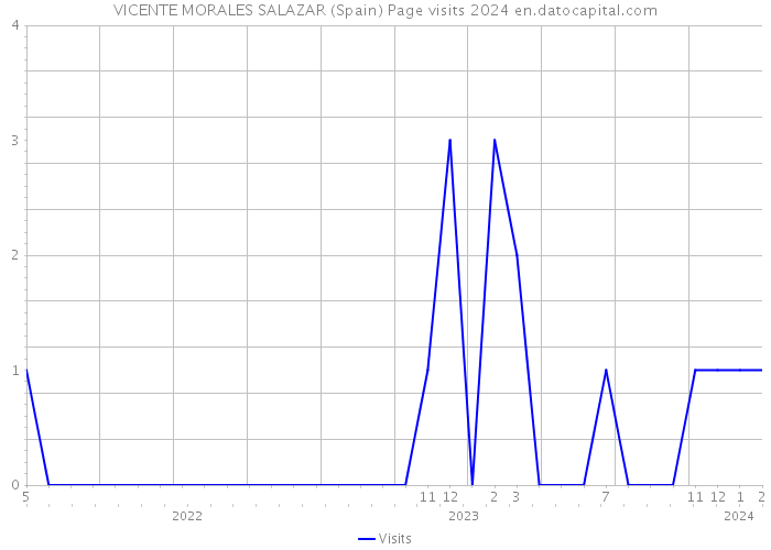 VICENTE MORALES SALAZAR (Spain) Page visits 2024 