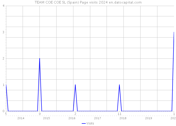 TEAM COE COE SL (Spain) Page visits 2024 