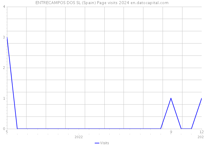 ENTRECAMPOS DOS SL (Spain) Page visits 2024 