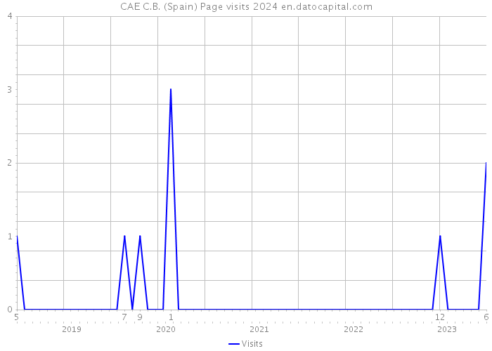 CAE C.B. (Spain) Page visits 2024 