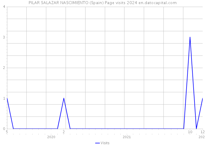 PILAR SALAZAR NASCIMIENTO (Spain) Page visits 2024 