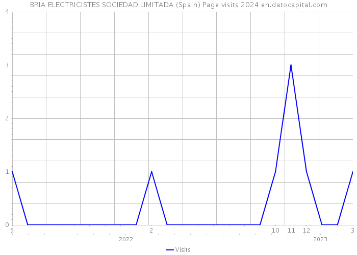 BRIA ELECTRICISTES SOCIEDAD LIMITADA (Spain) Page visits 2024 