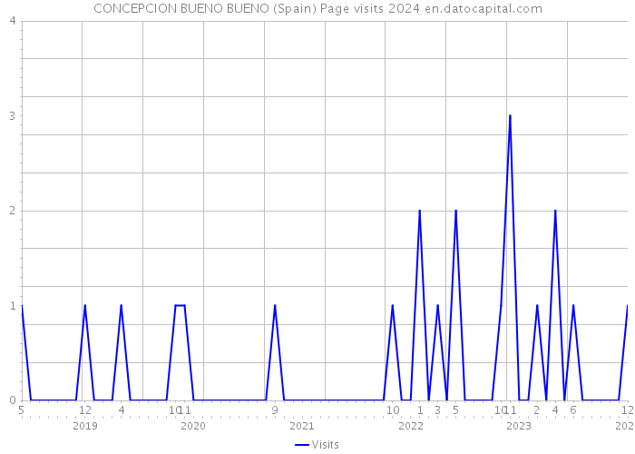 CONCEPCION BUENO BUENO (Spain) Page visits 2024 