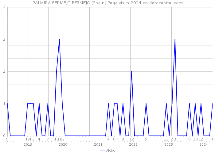 PALMIRA BERMEJO BERMEJO (Spain) Page visits 2024 