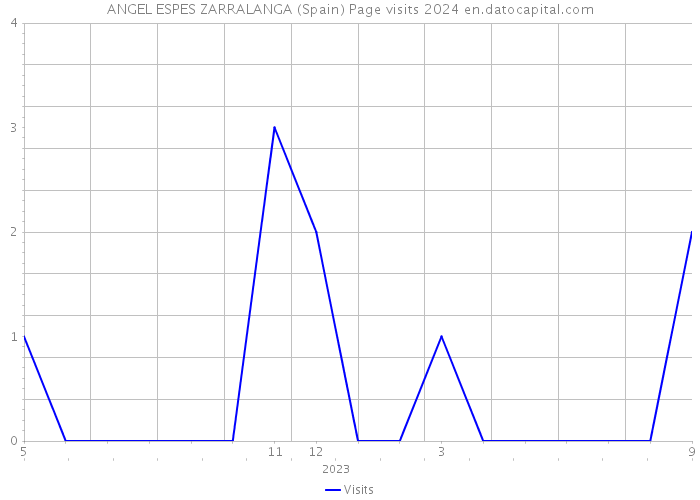 ANGEL ESPES ZARRALANGA (Spain) Page visits 2024 