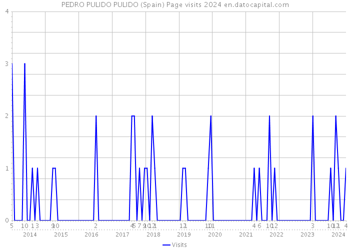 PEDRO PULIDO PULIDO (Spain) Page visits 2024 