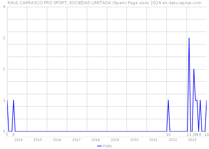 RAUL CARRASCO PRO SPORT, SOCIEDAD LIMITADA (Spain) Page visits 2024 