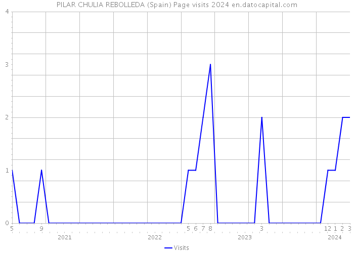PILAR CHULIA REBOLLEDA (Spain) Page visits 2024 