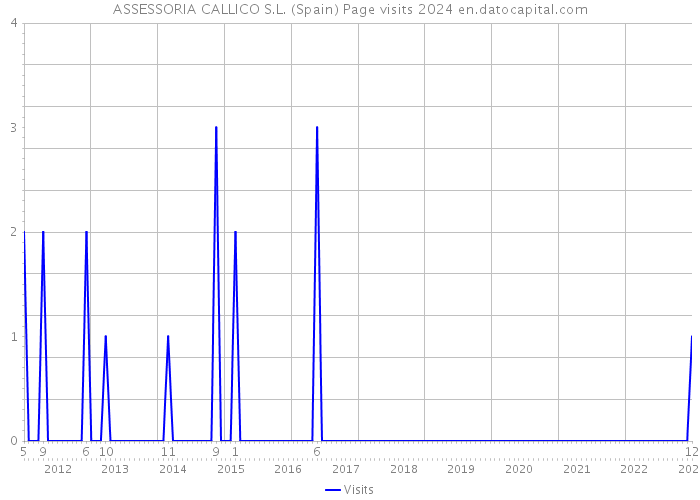 ASSESSORIA CALLICO S.L. (Spain) Page visits 2024 