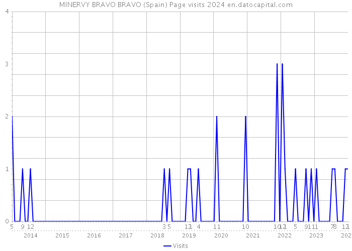MINERVY BRAVO BRAVO (Spain) Page visits 2024 