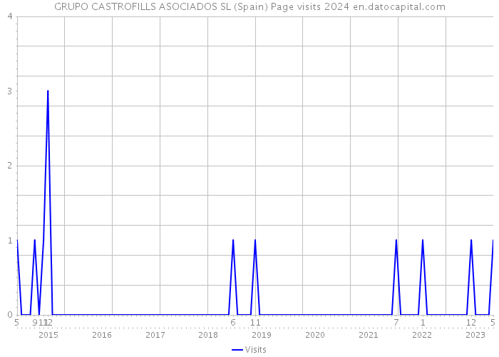 GRUPO CASTROFILLS ASOCIADOS SL (Spain) Page visits 2024 