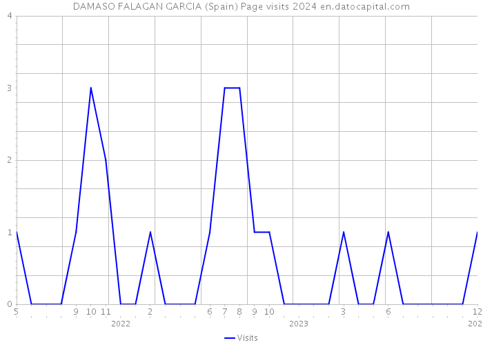 DAMASO FALAGAN GARCIA (Spain) Page visits 2024 