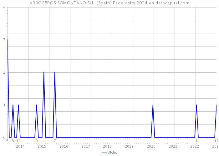 ARROCEROS SOMONTANO SLL. (Spain) Page visits 2024 