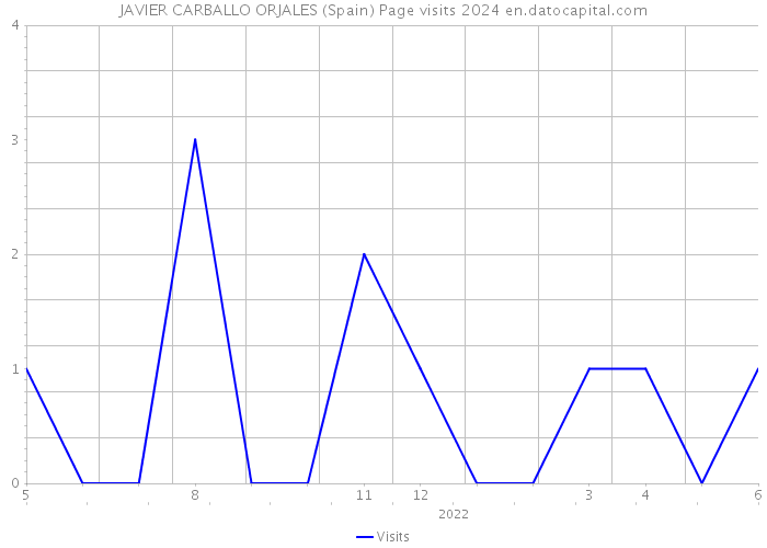 JAVIER CARBALLO ORJALES (Spain) Page visits 2024 