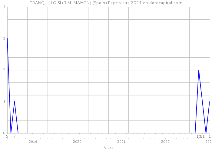 TRANQUILLO SL(R.M. MAHON) (Spain) Page visits 2024 