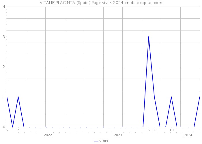 VITALIE PLACINTA (Spain) Page visits 2024 