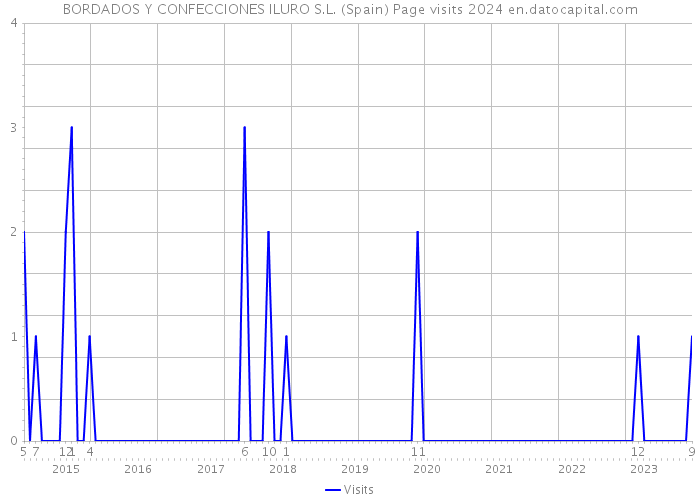 BORDADOS Y CONFECCIONES ILURO S.L. (Spain) Page visits 2024 