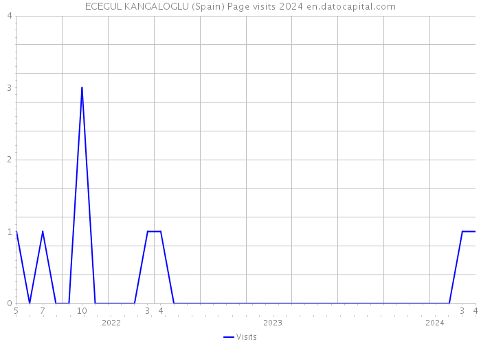 ECEGUL KANGALOGLU (Spain) Page visits 2024 
