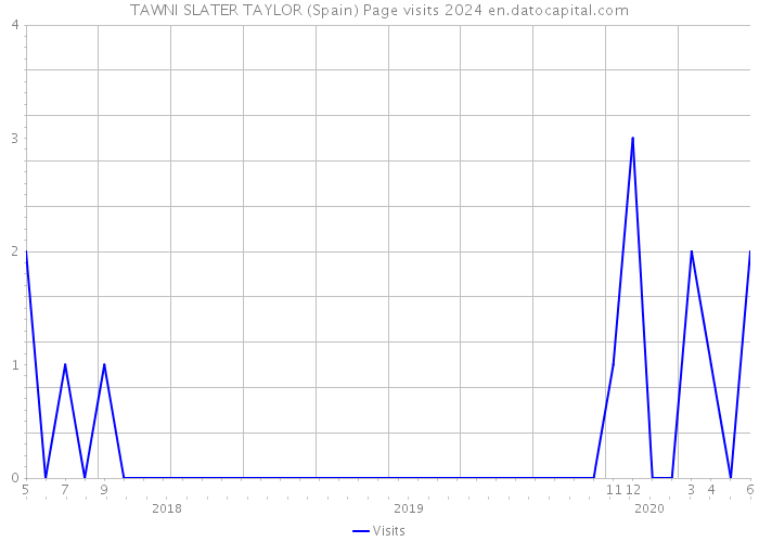 TAWNI SLATER TAYLOR (Spain) Page visits 2024 