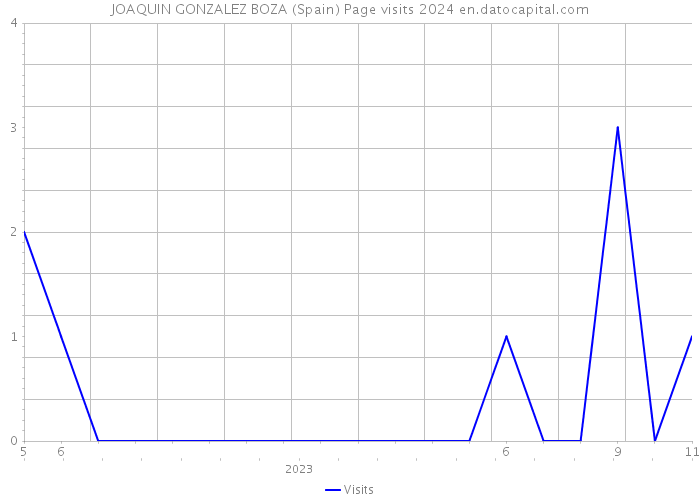 JOAQUIN GONZALEZ BOZA (Spain) Page visits 2024 