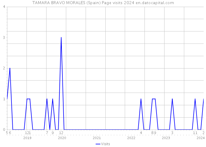 TAMARA BRAVO MORALES (Spain) Page visits 2024 