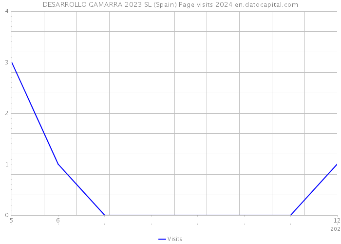 DESARROLLO GAMARRA 2023 SL (Spain) Page visits 2024 