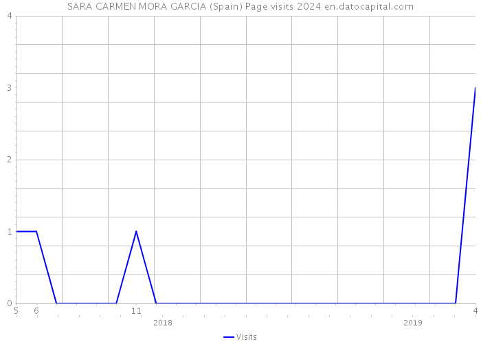 SARA CARMEN MORA GARCIA (Spain) Page visits 2024 
