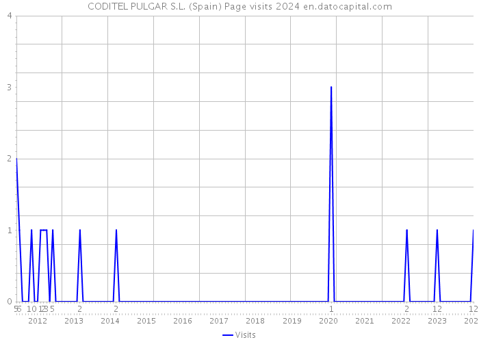 CODITEL PULGAR S.L. (Spain) Page visits 2024 