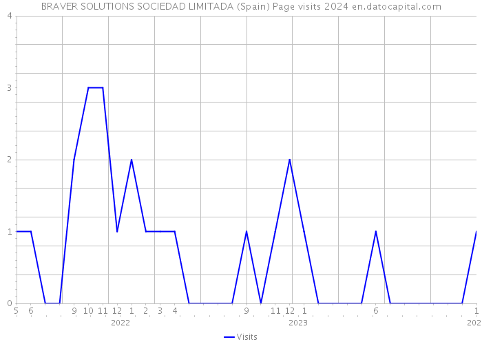 BRAVER SOLUTIONS SOCIEDAD LIMITADA (Spain) Page visits 2024 
