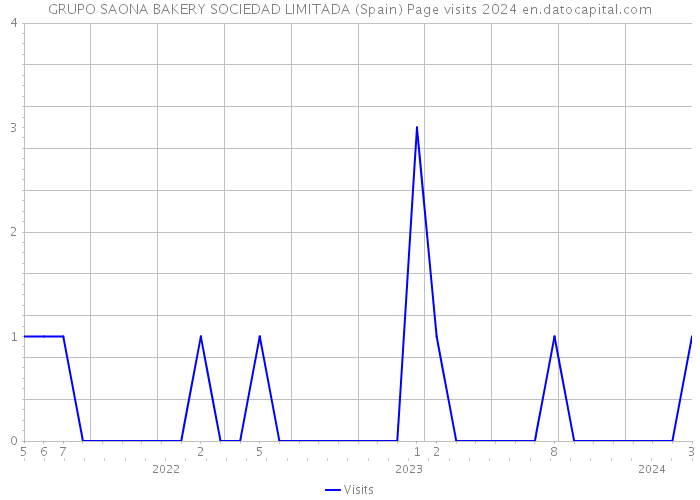 GRUPO SAONA BAKERY SOCIEDAD LIMITADA (Spain) Page visits 2024 