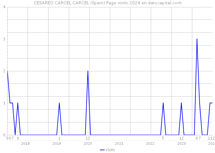 CESAREO CARCEL CARCEL (Spain) Page visits 2024 