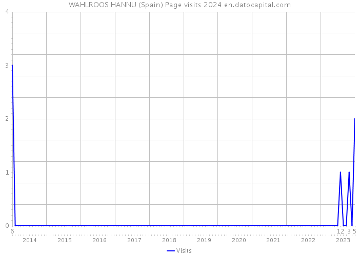 WAHLROOS HANNU (Spain) Page visits 2024 