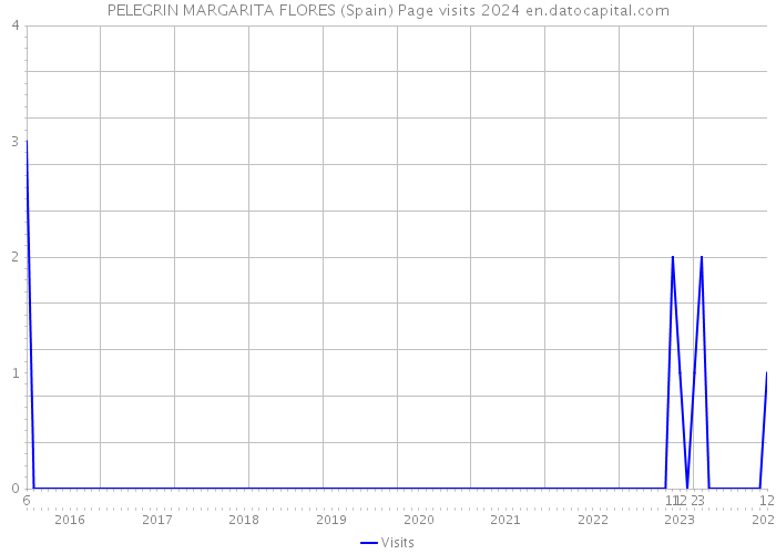 PELEGRIN MARGARITA FLORES (Spain) Page visits 2024 