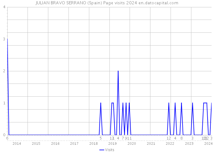 JULIAN BRAVO SERRANO (Spain) Page visits 2024 