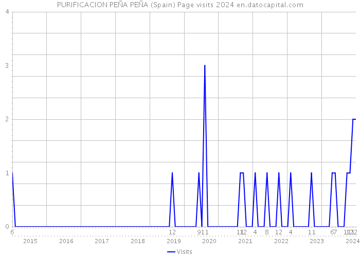 PURIFICACION PEÑA PEÑA (Spain) Page visits 2024 