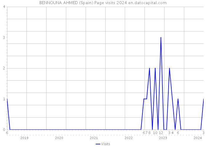 BENNOUNA AHMED (Spain) Page visits 2024 