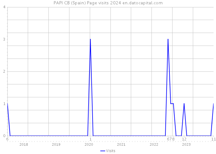 PAPI CB (Spain) Page visits 2024 