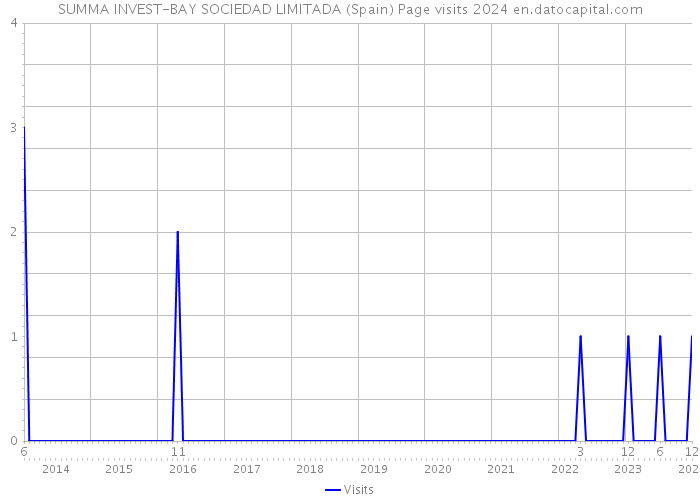 SUMMA INVEST-BAY SOCIEDAD LIMITADA (Spain) Page visits 2024 