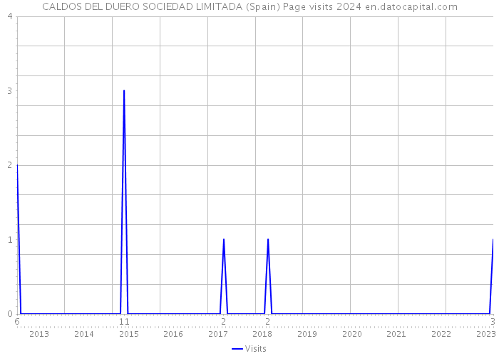 CALDOS DEL DUERO SOCIEDAD LIMITADA (Spain) Page visits 2024 