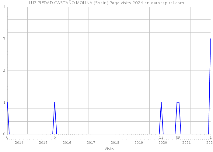 LUZ PIEDAD CASTAÑO MOLINA (Spain) Page visits 2024 