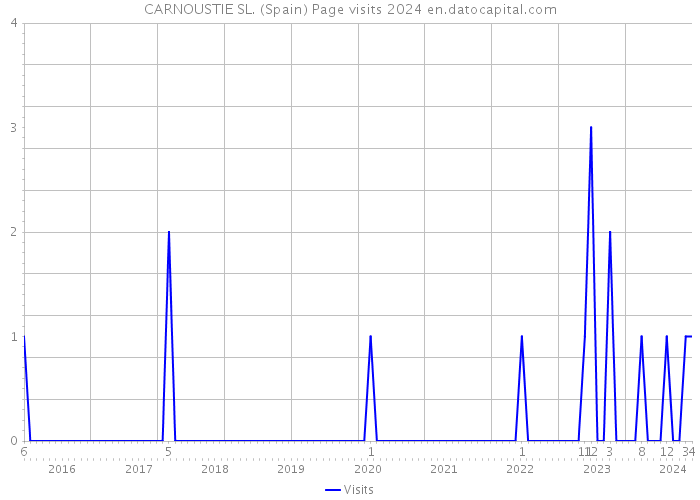 CARNOUSTIE SL. (Spain) Page visits 2024 