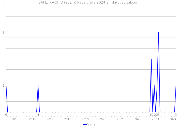 SAHLI RACHID (Spain) Page visits 2024 
