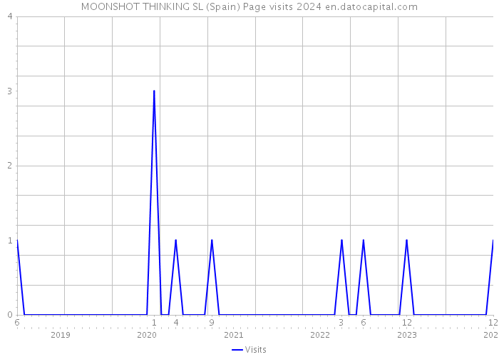 MOONSHOT THINKING SL (Spain) Page visits 2024 