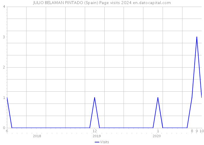 JULIO BELAMAN PINTADO (Spain) Page visits 2024 