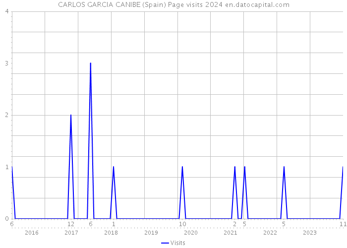CARLOS GARCIA CANIBE (Spain) Page visits 2024 