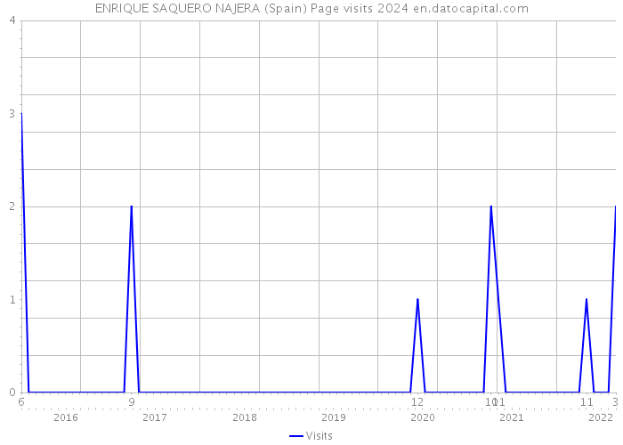 ENRIQUE SAQUERO NAJERA (Spain) Page visits 2024 
