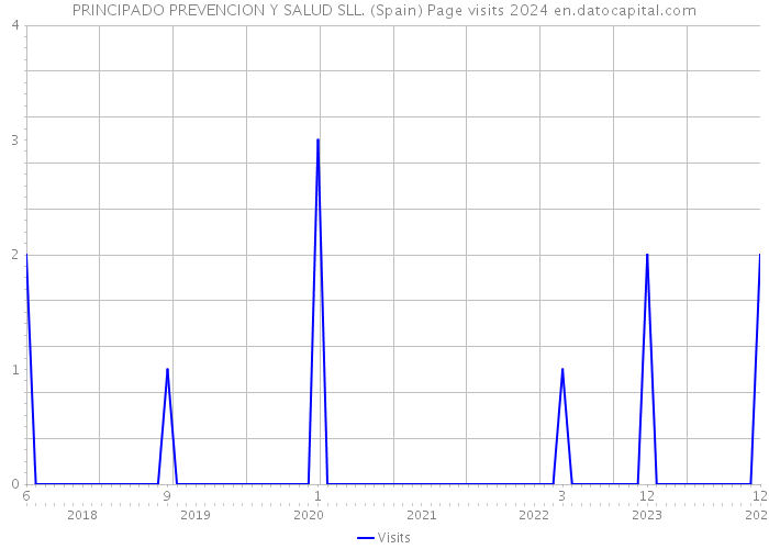 PRINCIPADO PREVENCION Y SALUD SLL. (Spain) Page visits 2024 
