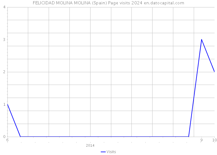 FELICIDAD MOLINA MOLINA (Spain) Page visits 2024 