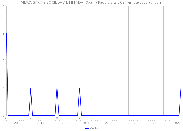 MEWA SARA'S SOCIEDAD LIMITADA (Spain) Page visits 2024 