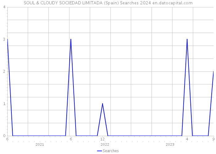 SOUL & CLOUDY SOCIEDAD LIMITADA (Spain) Searches 2024 